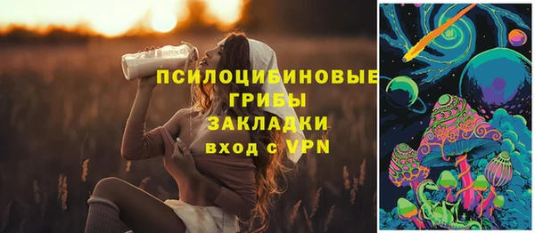 не бодяженный Алексин