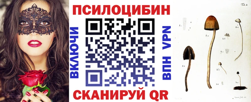 Галлюциногенные грибы Cubensis  цены   Апшеронск 